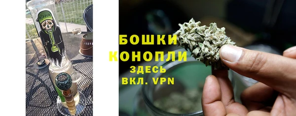 спиды Болотное