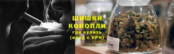 шишки Болхов