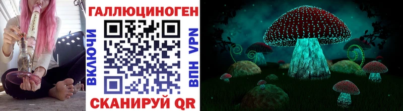 Псилоцибиновые грибы Magic Shrooms  ОМГ ОМГ ССЫЛКА  Верещагино 